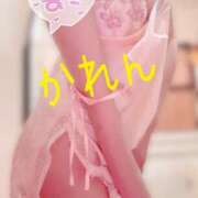 ヒメ日記 2025/07/03 20:47 投稿 かれん セクシーキャット 小田原店