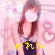 ヒメ日記 2025/07/17 12:20 投稿 かれん セクシーキャット 小田原店