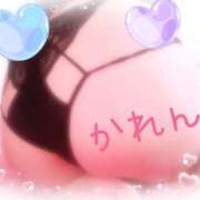 ヒメ日記 2025/08/15 21:17 投稿 かれん セクシーキャット 小田原店