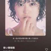 ヒメ日記 2025/09/22 12:22 投稿 かれん セクシーキャット 小田原店