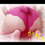 ヒメ日記 2025/11/04 08:21 投稿 かれん セクシーキャット 小田原店