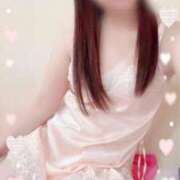 ヒメ日記 2025/11/25 23:59 投稿 かれん セクシーキャット 小田原店