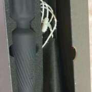 ヒメ日記 2025/12/15 20:45 投稿 かれん セクシーキャット 小田原店