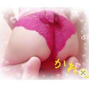 ヒメ日記 2026/01/11 12:22 投稿 かれん セクシーキャット 小田原店