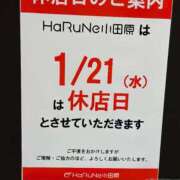 ヒメ日記 2026/01/15 17:17 投稿 かれん セクシーキャット 小田原店