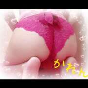 ヒメ日記 2026/02/18 13:44 投稿 かれん セクシーキャット 小田原店