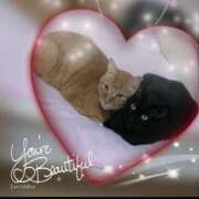 ヒメ日記 2026/03/16 10:25 投稿 かれん セクシーキャット 小田原店