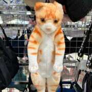 ヒメ日記 2026/04/02 18:44 投稿 かれん セクシーキャット 小田原店