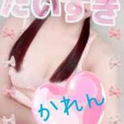 ヒメ日記 2026/04/06 09:53 投稿 かれん セクシーキャット 小田原店