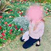 ヒメ日記 2026/04/08 23:49 投稿 かれん セクシーキャット 小田原店