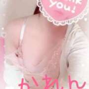 ヒメ日記 2026/04/19 19:28 投稿 かれん セクシーキャット 小田原店