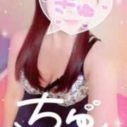 ヒメ日記 2026/04/20 17:43 投稿 かれん セクシーキャット 小田原店