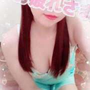 ヒメ日記 2026/04/25 19:44 投稿 かれん セクシーキャット 小田原店