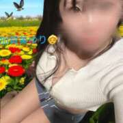 ヒメ日記 2025/04/27 22:53 投稿 加賀美 ゆり カサノヴァ