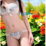 ヒメ日記 2025/06/14 09:59 投稿 加賀美 ゆり カサノヴァ