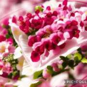 ヒメ日記 2025/03/28 15:58 投稿 木山 桜子 こあくまな人妻・熟女たち横浜店(KOAKUMAグループ)