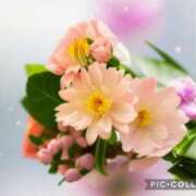 ヒメ日記 2025/04/09 23:22 投稿 木山 桜子 こあくまな人妻・熟女たち横浜店(KOAKUMAグループ)