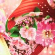 ヒメ日記 2025/04/24 13:21 投稿 木山 桜子 こあくまな人妻・熟女たち横浜店(KOAKUMAグループ)