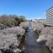 ヒメ日記 2025/04/21 14:22 投稿 える◇ミスキャン級女子大生◇ H-ash（アッシュ）