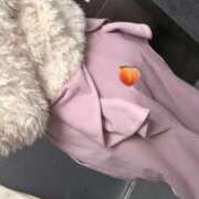 ヒメ日記 2025/12/15 10:56 投稿 進撃の詩音(しおん) ニューハーフヘルスLIBE 日本橋