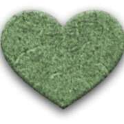 ヒメ日記 2025/04/17 06:16 投稿 ももはな 熟女＆人妻＆ぽっちゃり倶楽部