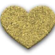 ヒメ日記 2025/05/19 23:52 投稿 ももはな 熟女＆人妻＆ぽっちゃり倶楽部