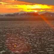 ヒメ日記 2025/02/16 21:50 投稿 夢倉さわ コウテイ