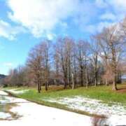 ヒメ日記 2025/02/18 10:08 投稿 夢倉さわ コウテイ