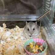 ヒメ日記 2025/02/25 01:15 投稿 夢倉さわ コウテイ