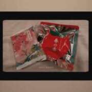 ヒメ日記 2025/03/13 15:35 投稿 夢倉さわ コウテイ