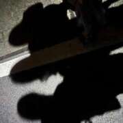 ヒメ日記 2025/03/25 11:23 投稿 夢倉さわ コウテイ