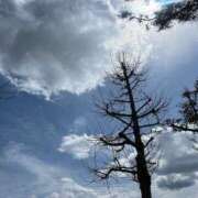 ヒメ日記 2025/03/29 12:05 投稿 夢倉さわ コウテイ