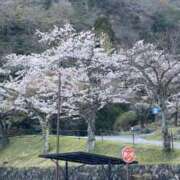 ヒメ日記 2025/04/05 09:55 投稿 夢倉さわ コウテイ