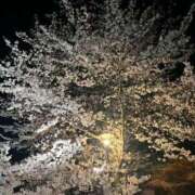 ヒメ日記 2025/04/06 23:45 投稿 夢倉さわ コウテイ