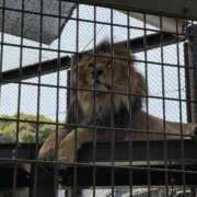 ヒメ日記 2025/04/08 14:35 投稿 夢倉さわ コウテイ