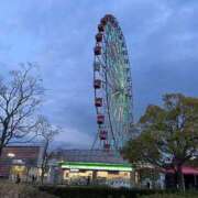 ヒメ日記 2025/04/08 18:38 投稿 夢倉さわ コウテイ