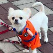 ヒメ日記 2025/04/15 18:46 投稿 夢倉さわ コウテイ