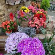 ヒメ日記 2025/04/23 09:39 投稿 夢倉さわ コウテイ