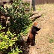 ヒメ日記 2025/04/24 14:00 投稿 夢倉さわ コウテイ