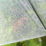 ヒメ日記 2025/05/06 12:56 投稿 夢倉さわ コウテイ