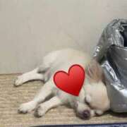 ヒメ日記 2025/06/10 14:25 投稿 夢倉さわ コウテイ