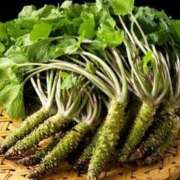 ヒメ日記 2025/06/25 12:26 投稿 夢倉さわ コウテイ