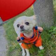 ヒメ日記 2025/06/27 11:55 投稿 夢倉さわ コウテイ