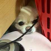 ヒメ日記 2025/07/18 10:25 投稿 夢倉さわ コウテイ