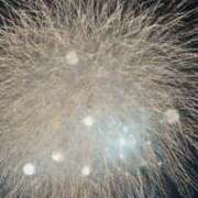 ヒメ日記 2025/08/01 11:32 投稿 夢倉さわ コウテイ