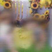 ヒメ日記 2025/08/03 20:05 投稿 夢倉さわ コウテイ