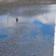 ヒメ日記 2025/08/07 10:35 投稿 夢倉さわ コウテイ