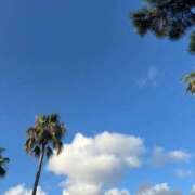 ヒメ日記 2025/09/10 10:05 投稿 夢倉さわ コウテイ