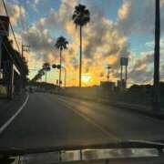 ヒメ日記 2025/09/17 11:34 投稿 夢倉さわ コウテイ