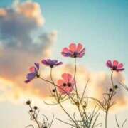 ヒメ日記 2025/10/03 11:52 投稿 夢倉さわ コウテイ